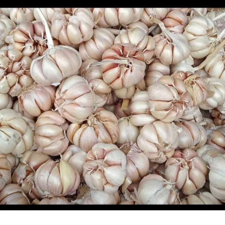 

↯ Bawang putih impor murah,kering & 1000grm/ 1kg