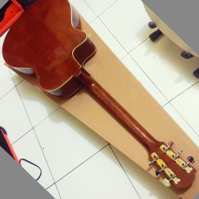 Gitar Akustik Apx 500Ii
