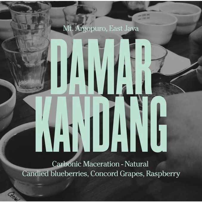 

[COD] ARGOPURO WALIDA Carbonic Maceration Natural - FILTER [COD]