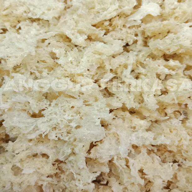 

【*Grosir* 10gr Sarang Burung Walet Hancuran Original ,