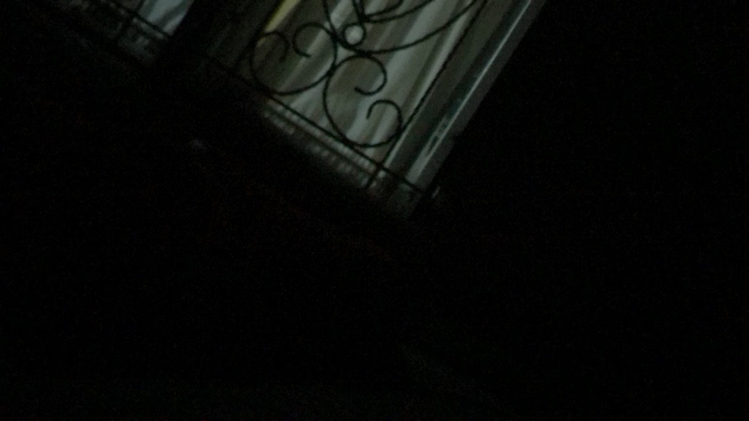 New !! Botol Minum Anak Water Bottle Sedotan Slide Motif Karakter Animal 500ml R867