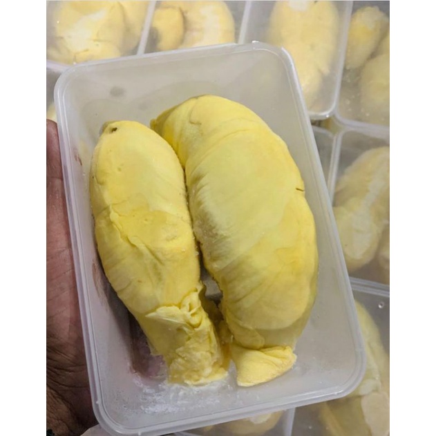 [[DURIAN MONTHONG PALU SULAWESI PARIGI]]