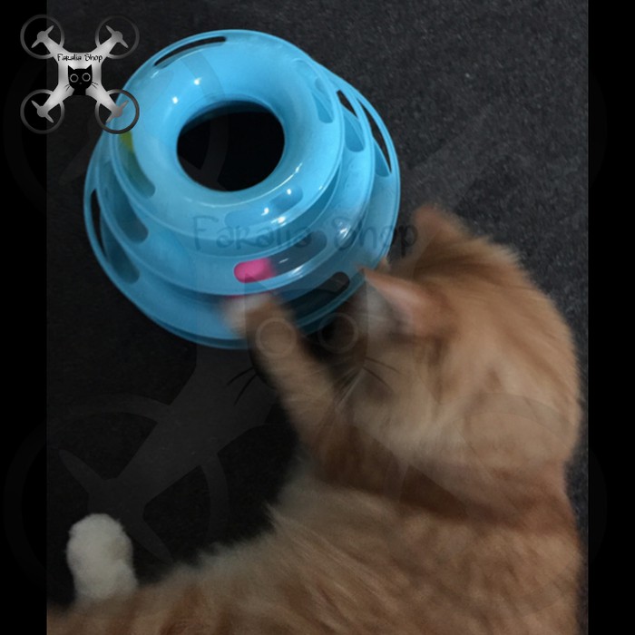 Crazy Ball Mainan Menara Bola Tingkat 3 Kucing Cat Kitten Pyramid Piramida Tower Level Tiga