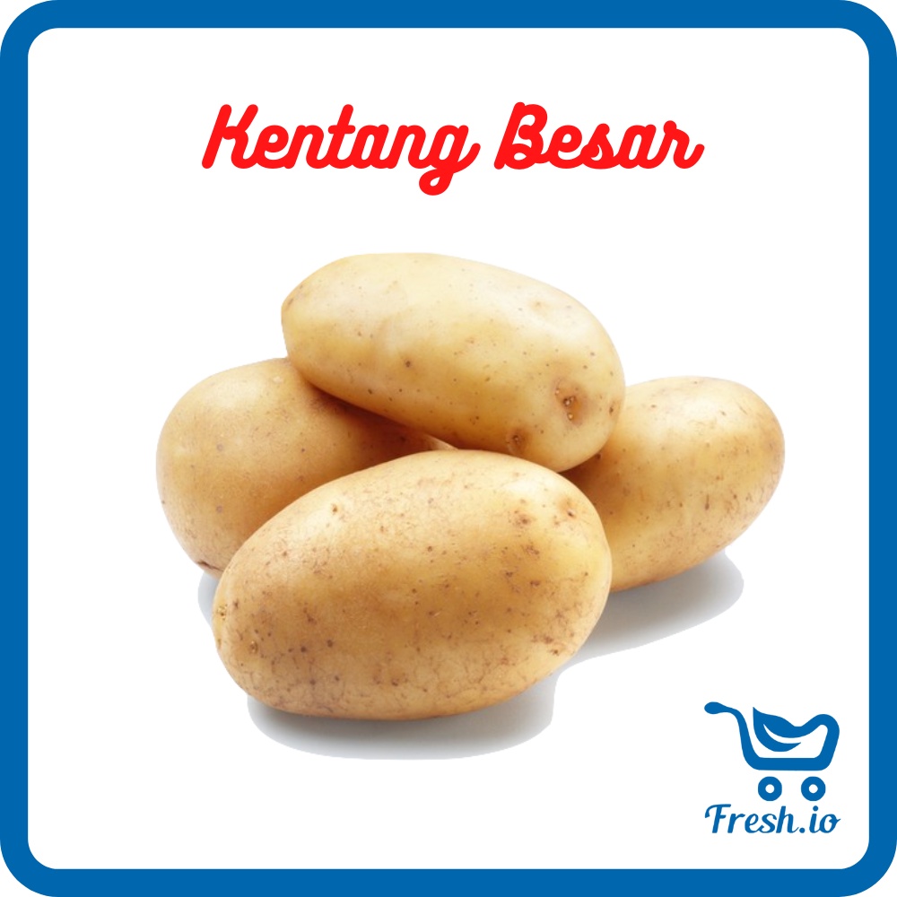 

Kentang Besar