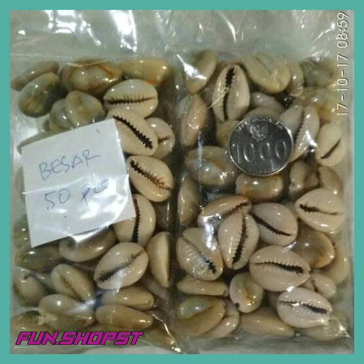 

BIJI CONGKLAK UKURAN BESAR PER 50 PCS