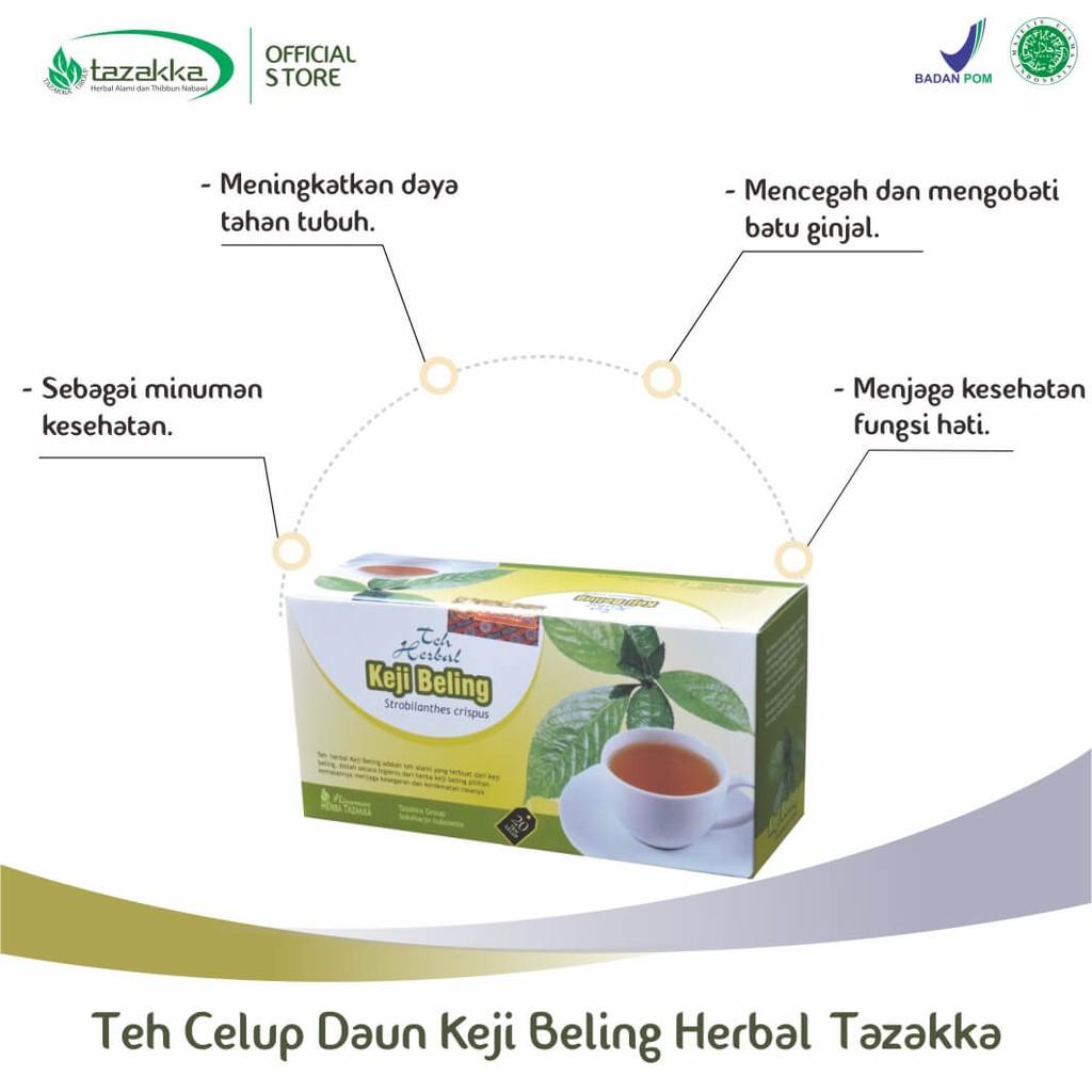 Teh Celup Daun Keji Beling Minuman Kesehatan Batu Ginjal Infeksi Saluran Kemih Herbal Tazakka Asli.