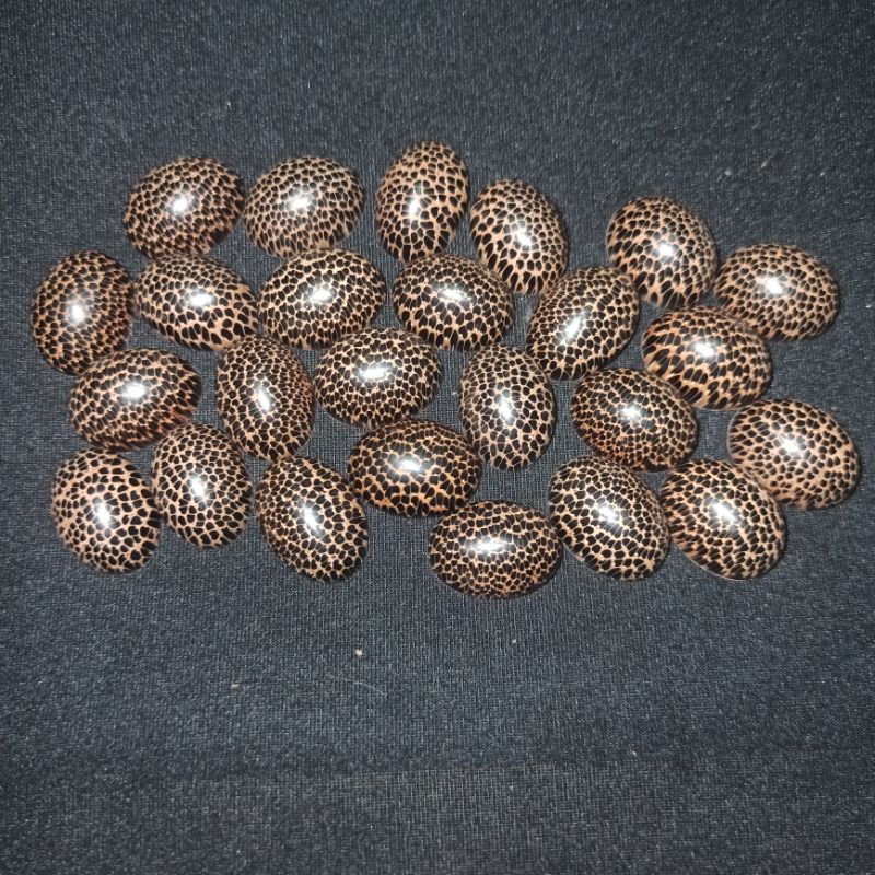 MATA CINCIN KAYU LIWUNG (N)