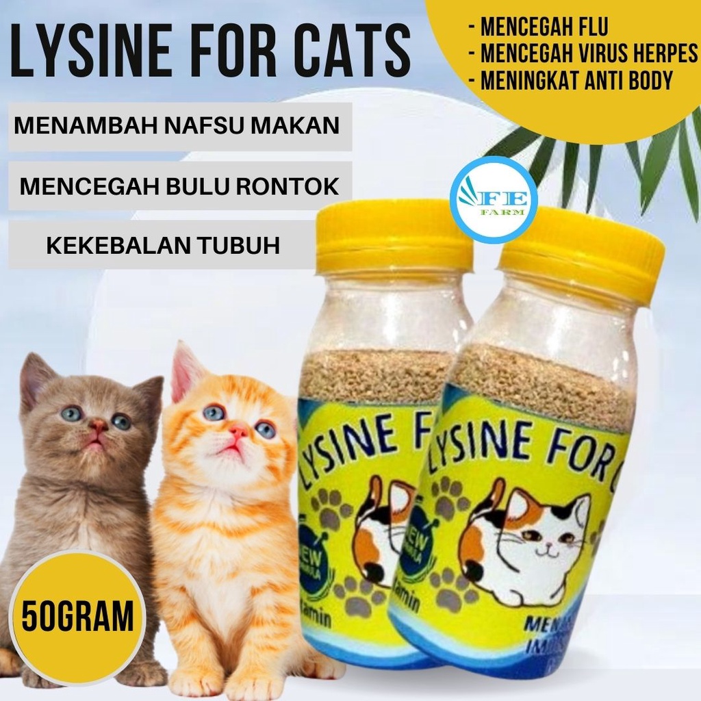 Vitamin Penggemuk dan Bulu Kucing Penumbuh Bulu Kucing Pelebat Bulu Obat Bulu Kucing Rontok FEFARM