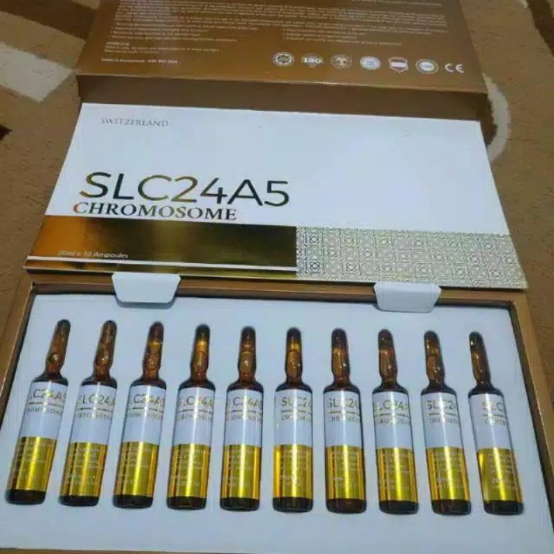 SLC24A5 Chromosome | SLC gold 24A5 Chromosome 20mili Original harga perbox