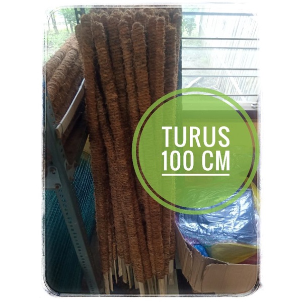 Turus Tanaman 100 cm Bambu - Turus Penyangga Tanaman - Turus Tanaman Rambat - Tanaman Rambat