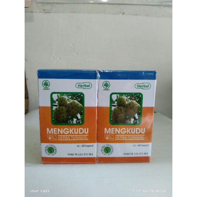 

Agen Herbal Jogja Jual Obat Herbal Untuk Mencegah Stroke dan Gangguan Pembuluh Jantung Mengkudu HIU
