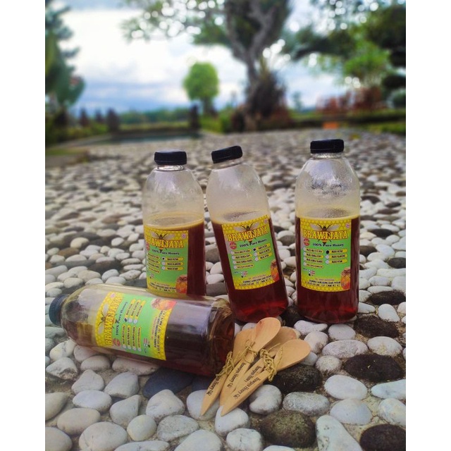 

MADU HUTAN RIAU MADU MENTAH GRADE A