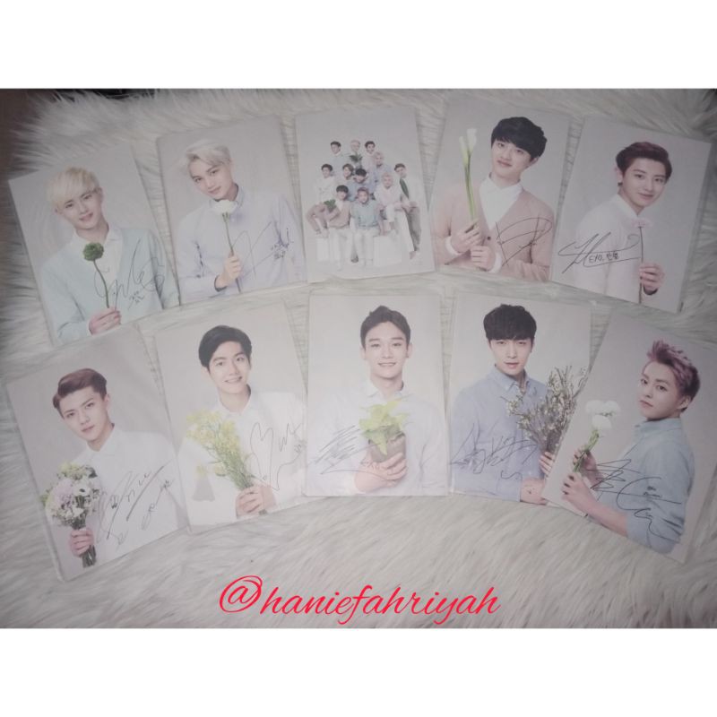 POSTCARD EXO NATURE REPUBLIC