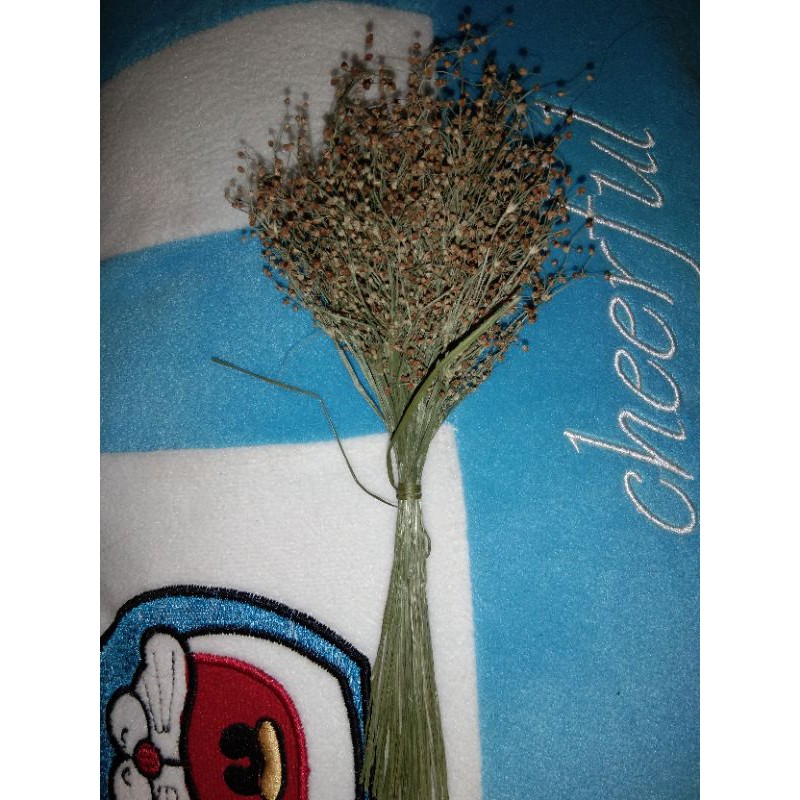 

wildery