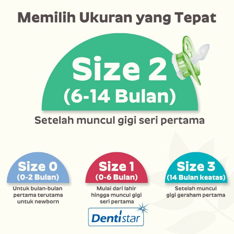 Empeng Dentistar Flat Shield Pacifier