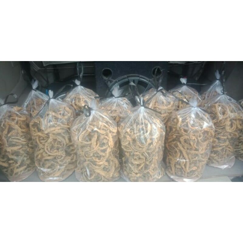 

Belut Crispy 1 ball 2 kg