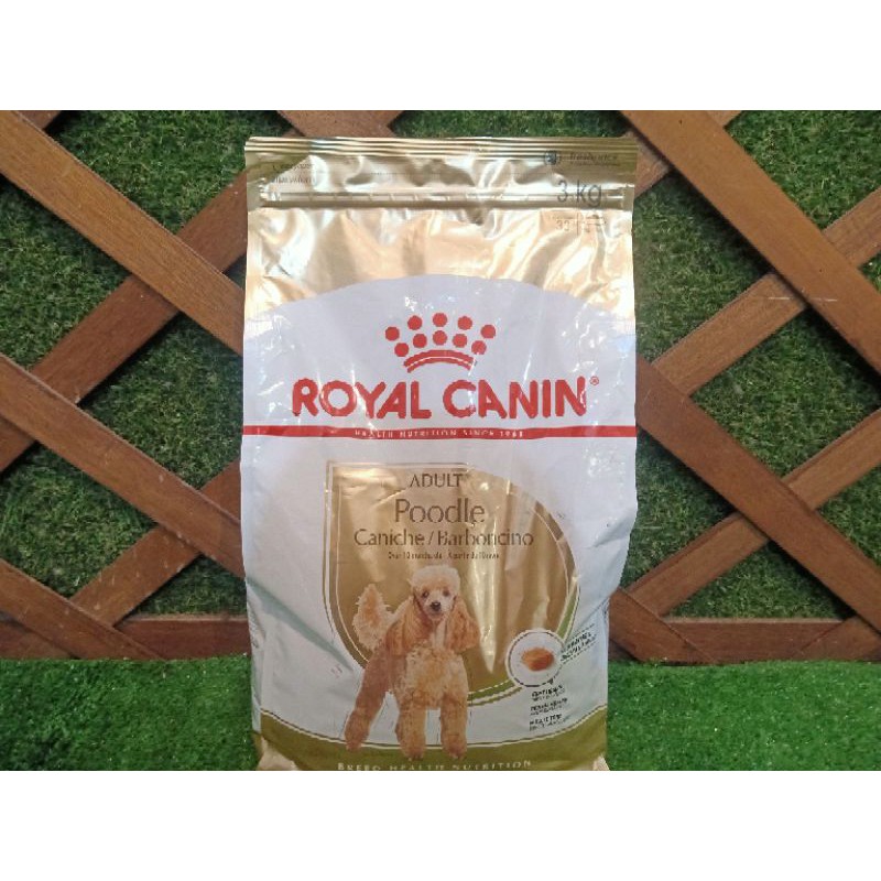 Royal Canin Poodle Adult 3Kg / makanan kering khusus untuk anjing poodle dewasa