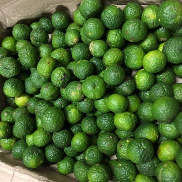 

Jeruk limau, jeruk limo 1 kg