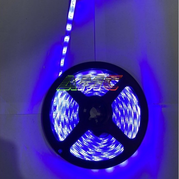 Lampu LED Panjang 5m - Kecil (Putih/Biru/Kedip Biru)