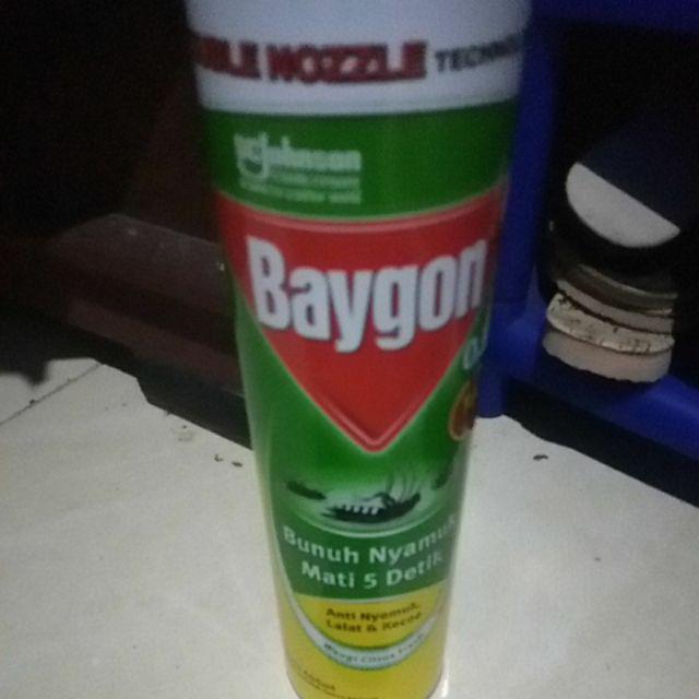 Baygon 600ml Citrus Fresh, Flower Garden 600ml (khusus Gojek Surabaya)/toko Makmur Online
