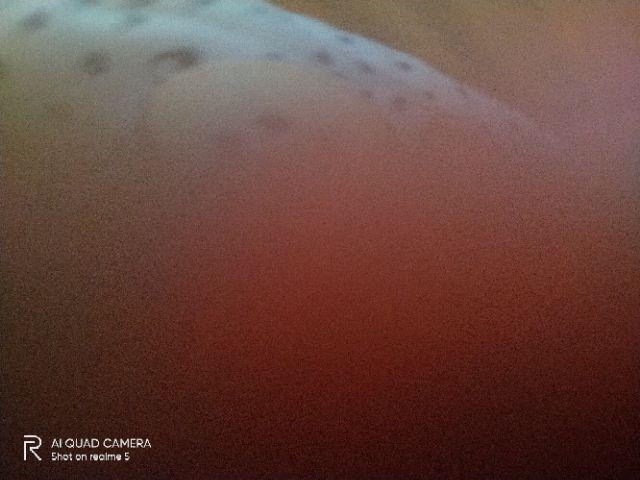 Pollybag Plastik Hitam