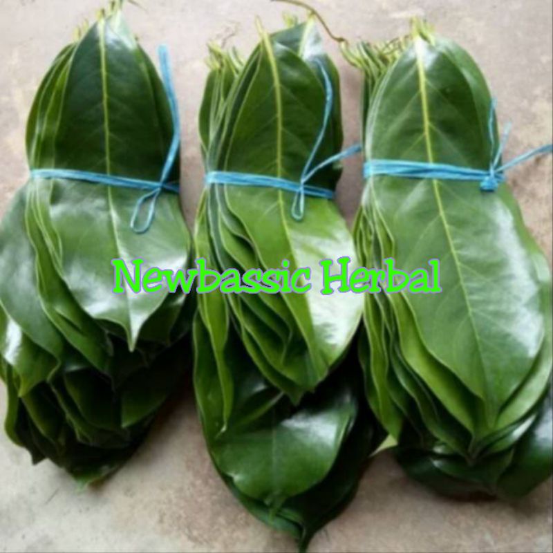 

daun sirsak fresh 500g