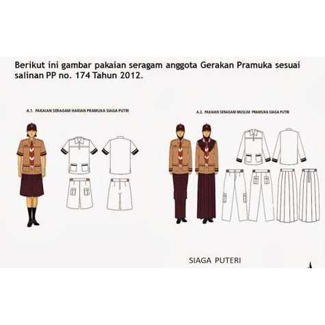 35 Terbaik Untuk Gambar Sketsa  Baju Pramuka  Tea And Lead