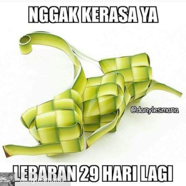 Sikat Karpet 1 Sikat