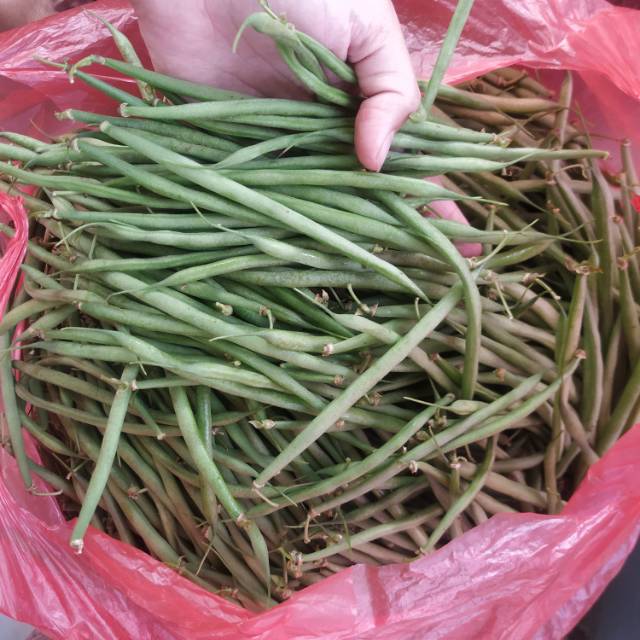 

Baby Buncis / Baby Bean / Buncis Manis / Baby Ucet Fresh 250 gram