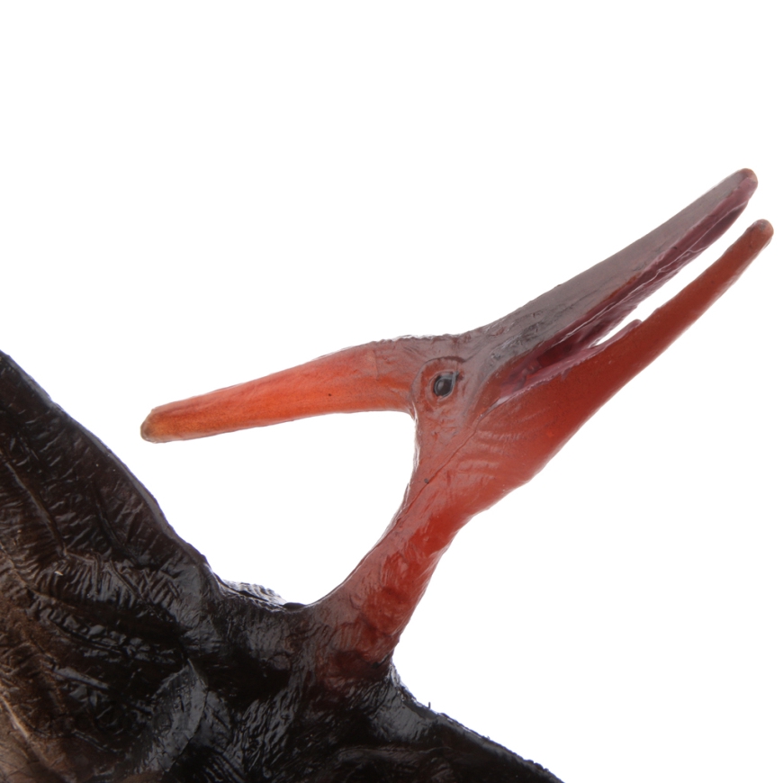 [PREDOLO1] Realistic Cretaceous Pteranodon Model Toy Action Figure Collectible Decor