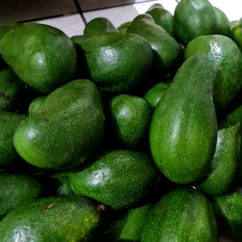 

alpukat mentega dari jogja