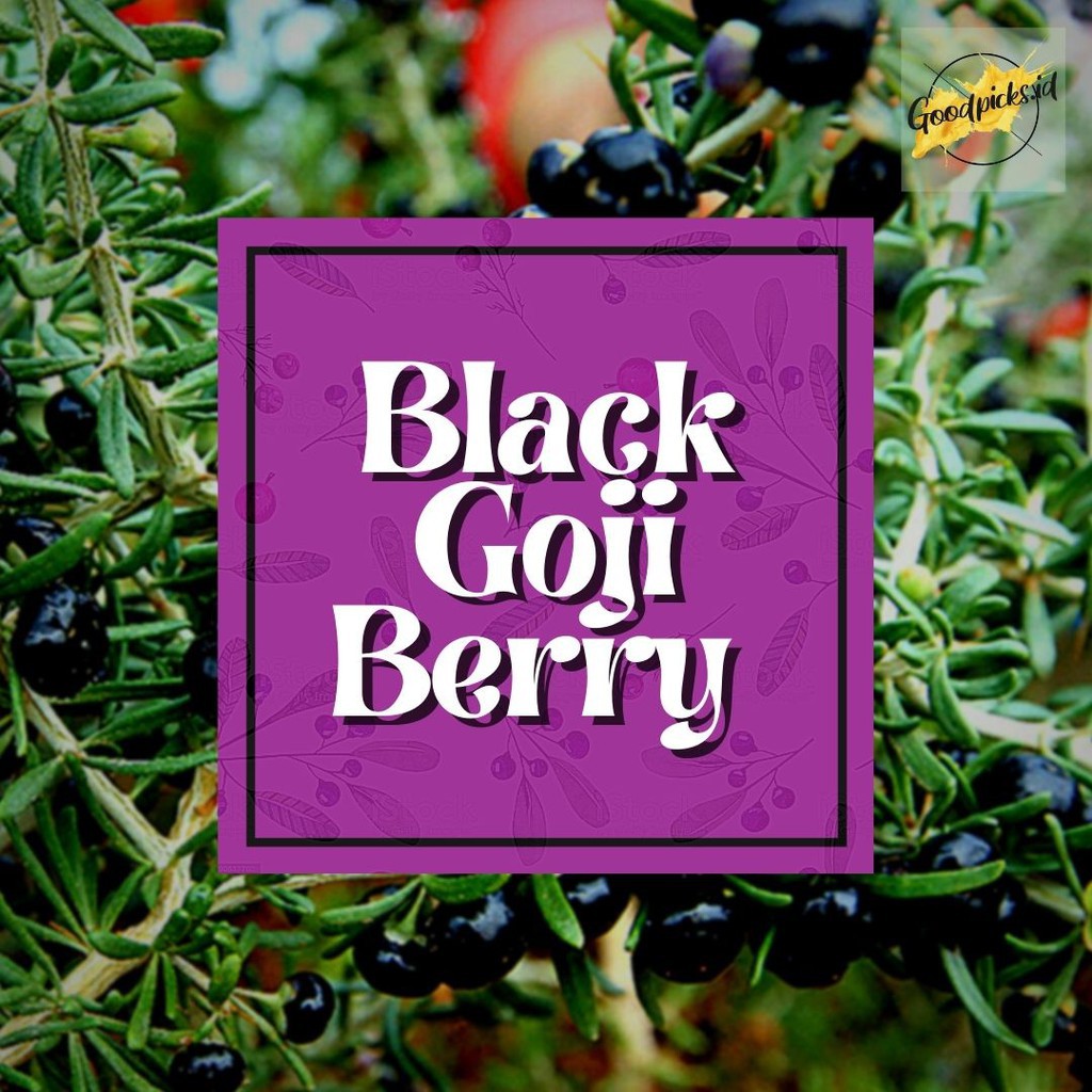 

premium BLACK GOJI BERRY/ GOJI HITAM / O KICI HITAM BLACK WOLFBERRY 100GR