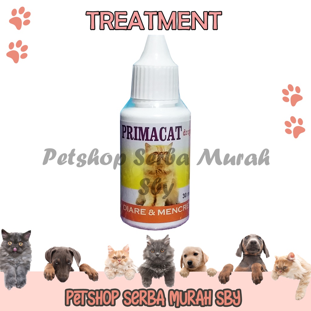 Primacat 30ml - Obat Diare dan Mencret untuk Kucing