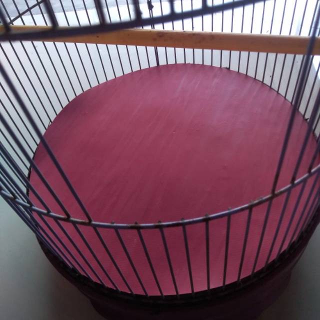 Karpet alas kandang burung lovebird