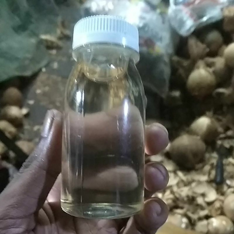 

minyak kelapa asli