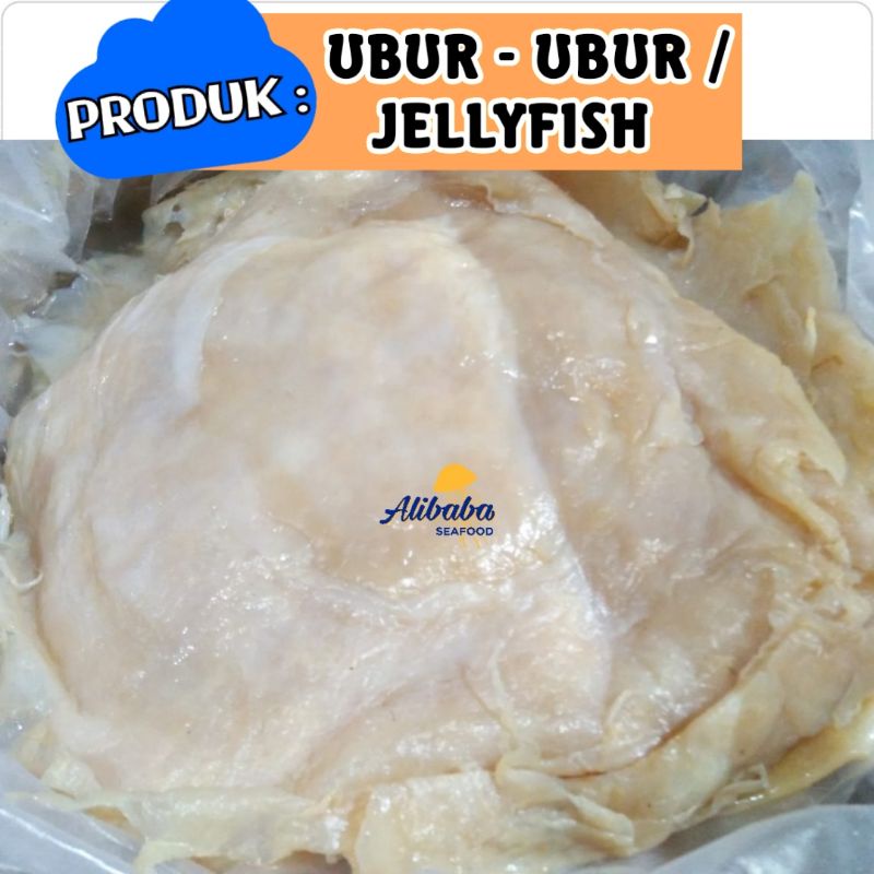 

Ubur Jellyfish Body Mentah 1kg