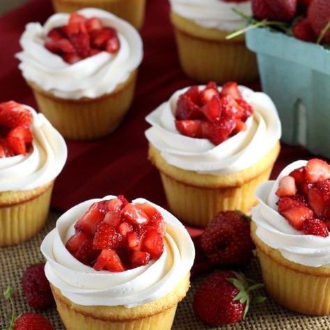

TERBARU TEPUNG PREMIX VANILLA CUPCAKE