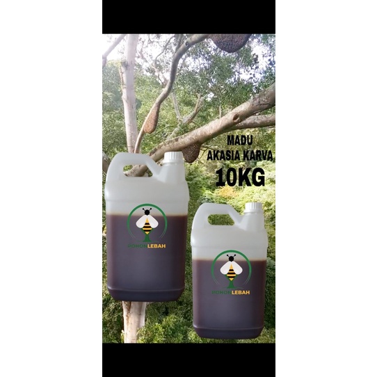 

madu asli dari nektar bunga akasia carva 10 kg langsung dari pembudidaya madu