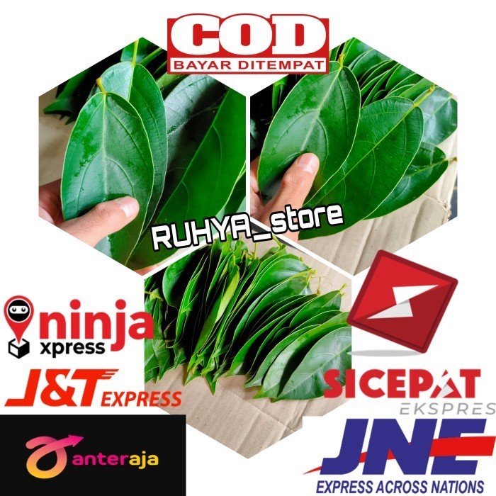 

Ready Daun Cincau Hijau 500gr - Cincau Jelly Bukan Cicau Bulu