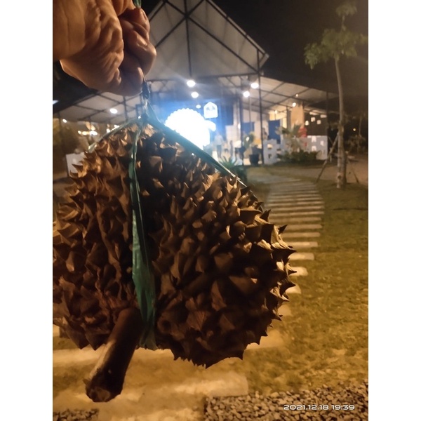 

Durian