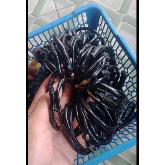 gelang akar bahas asli