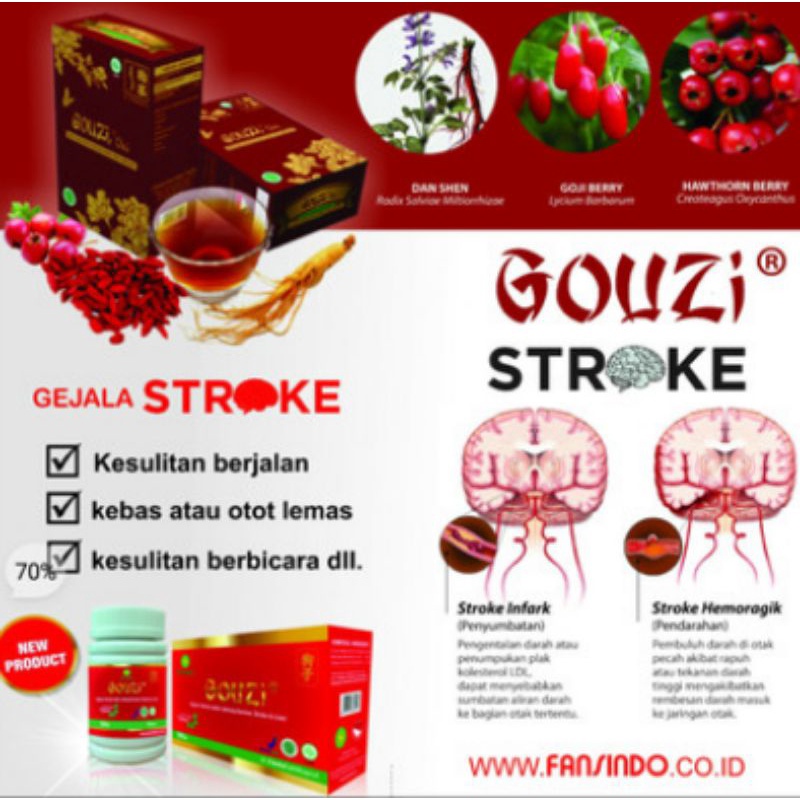 

Teh Herbal GOUZI CHA Minuman Kesehatan Stroke Diabetes Liver Dll.