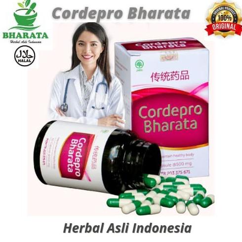 Obat Herbal Batu Ginjal-Gagal Ginjal Kronis Akut Cordepro Bharata