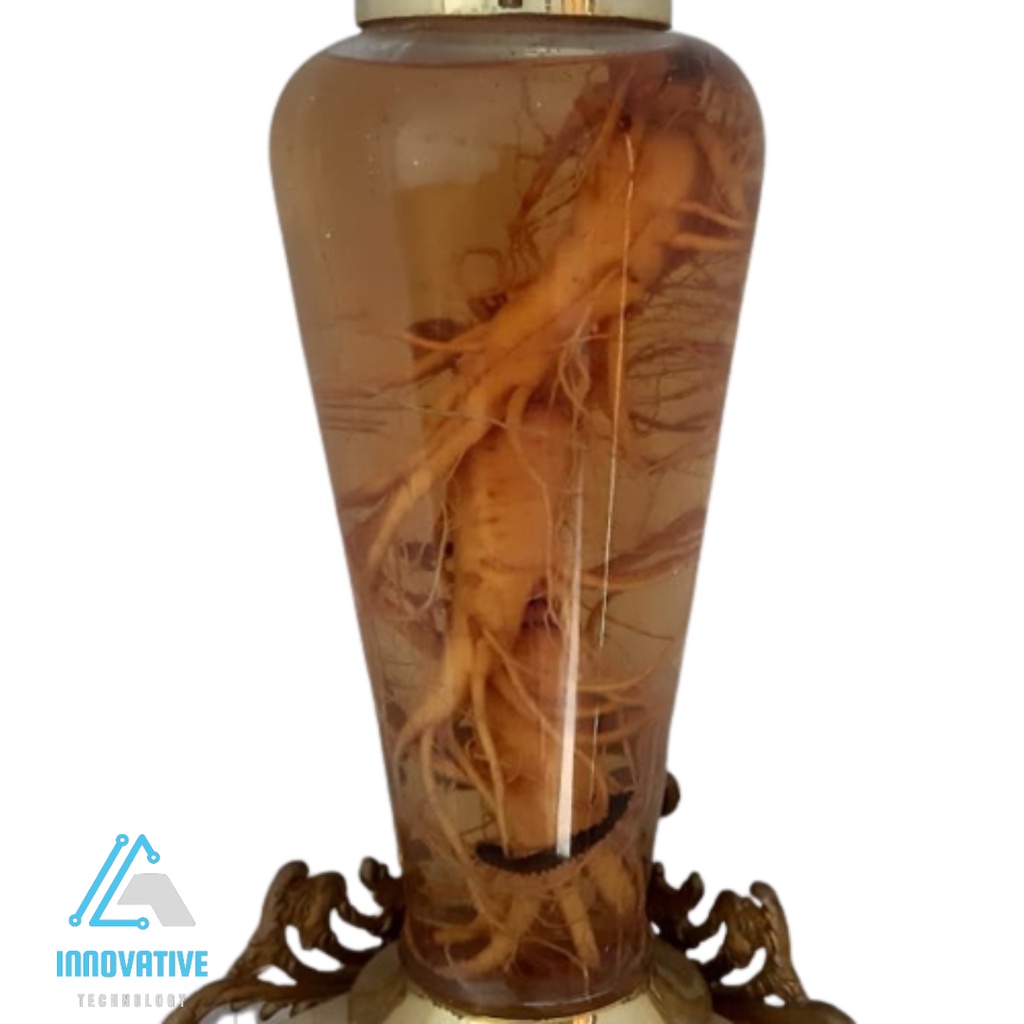 

Akar Ginseng Korea