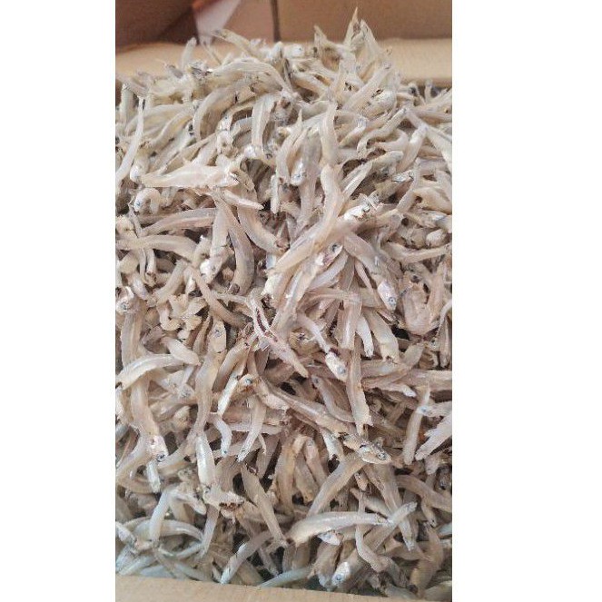 

•TERI BUNTIO FIT/BUNTIO•