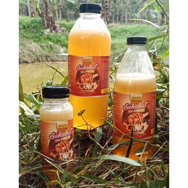 

madu hutan apis dorsata murni tanpa proses dan campuran apapun bergaransi uang kembali
