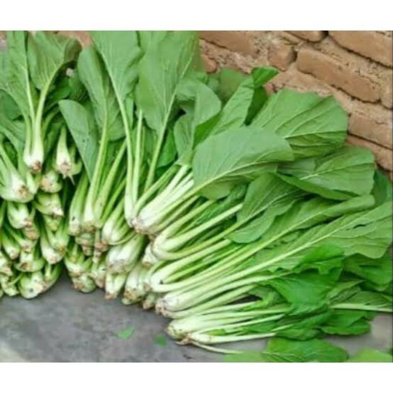 sayursegar SAYUR SESIM SEGAR 250gram