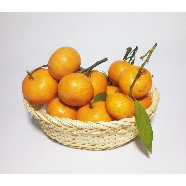 

Jeruk Shantang daun spring biji sedikit 1 kg