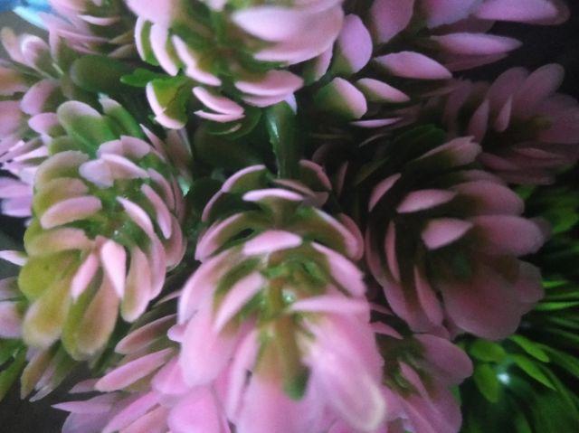 Pinus - Pot Tanaman Pohon Hias Vas Bunga Dekorasi Ornamen Tanaman Bonsai Buatan Untuk Hiasan Rumah