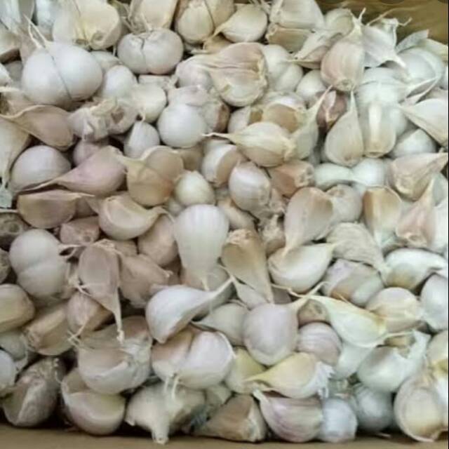 

BAWANG PUTIH KATING BERSIH 1KG MURAH